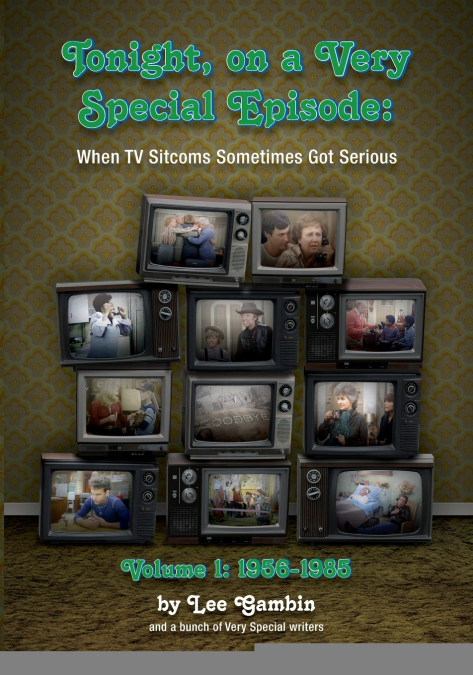 Tonight, On A Very Special Episode When TV Sitcoms Sometimes Got Serious Volume 1