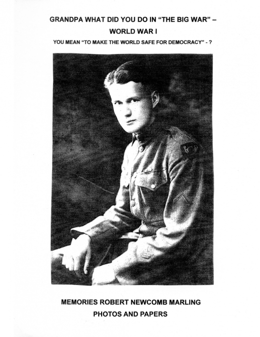 Grandpa What Did You Do In 'The Big War' - World War I