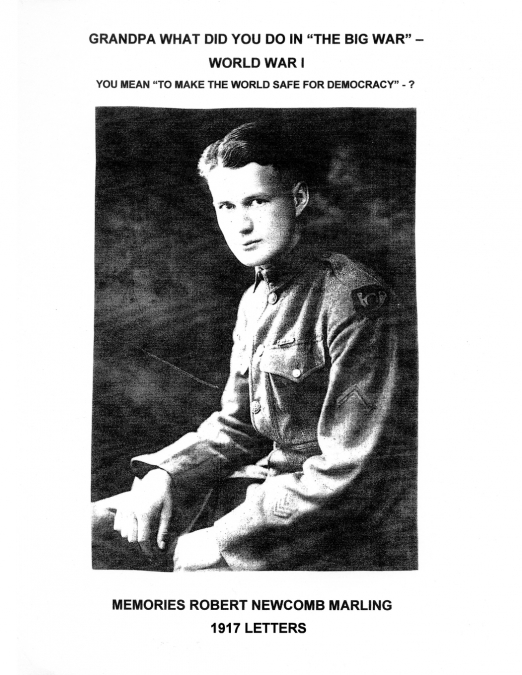 Grandpa What Did You Do In 'The Big War' - World War I