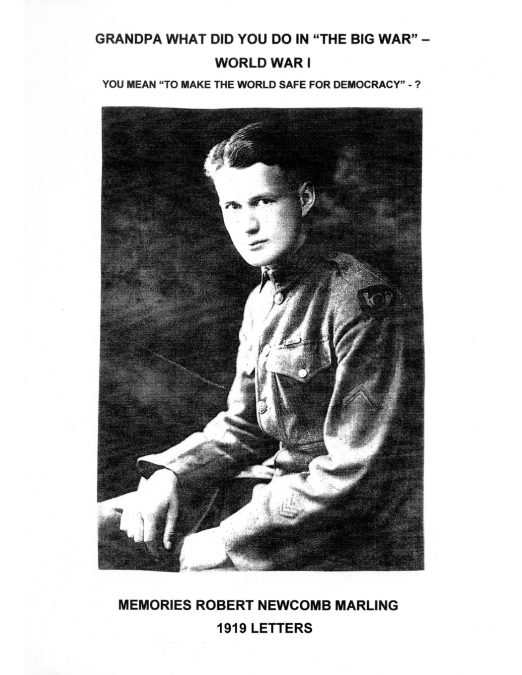 Grandpa What Did You Do In 'The Big War' - World War I