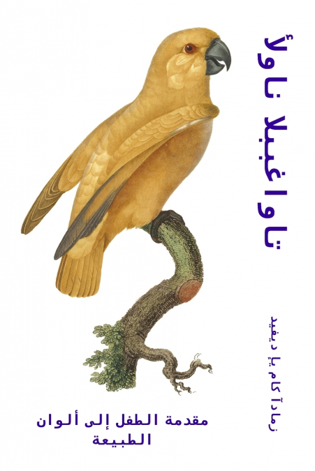 ألوان الببغاوات