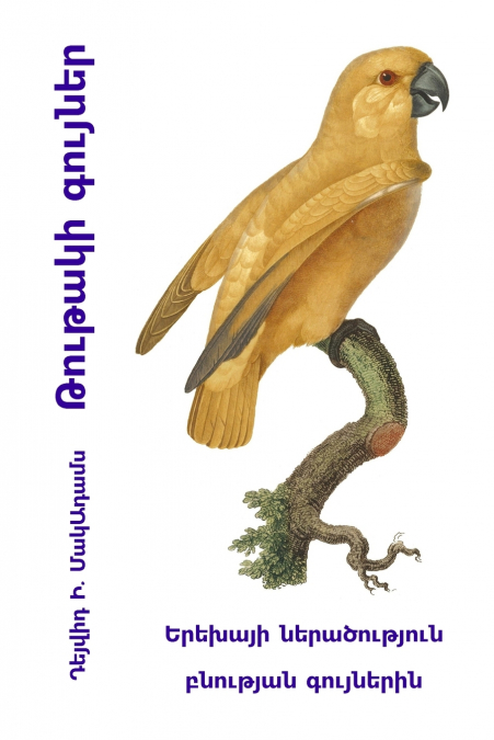 Թութակի գույներ