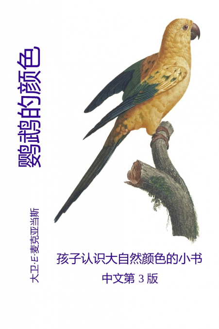 鹦鹉的颜色
