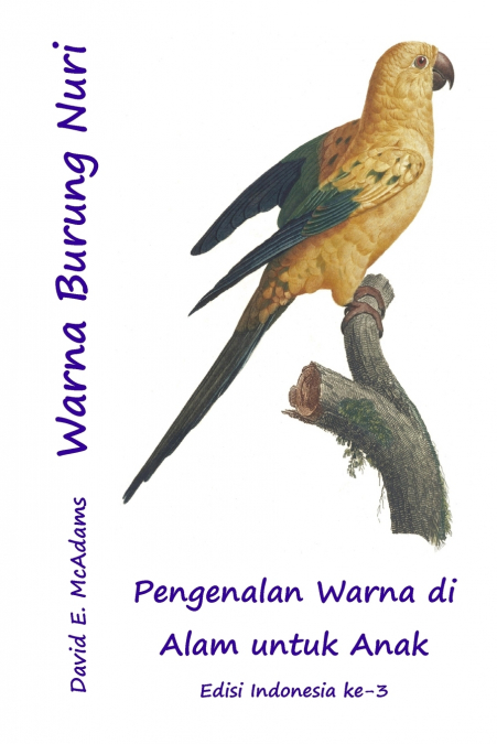 Warna Burung Nuri