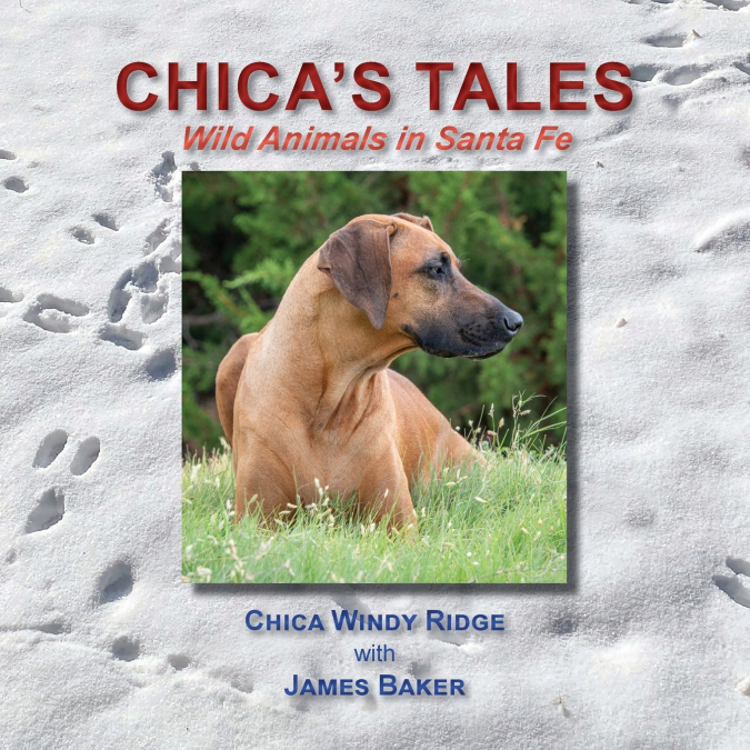 Chica’s Tales, Wild Animals in Santa Fe