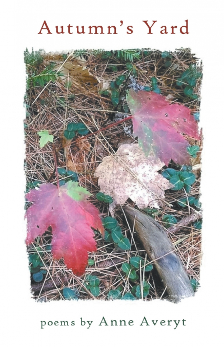 Autumn’s Yard