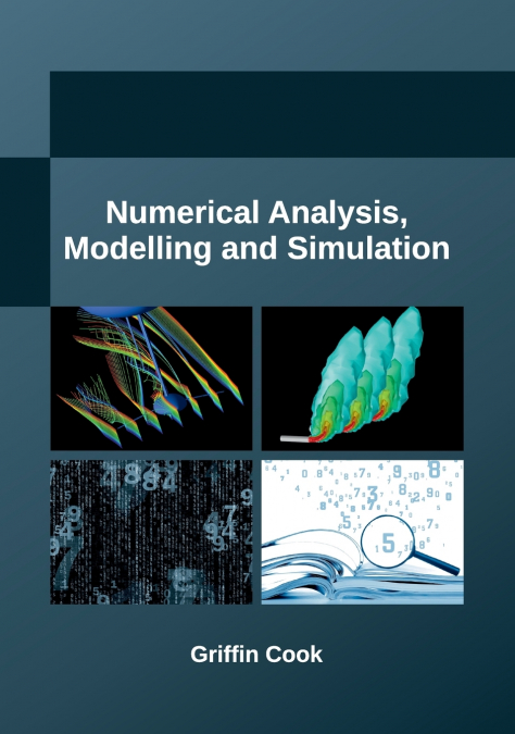 Numerical Analysis, Modelling and Simulation