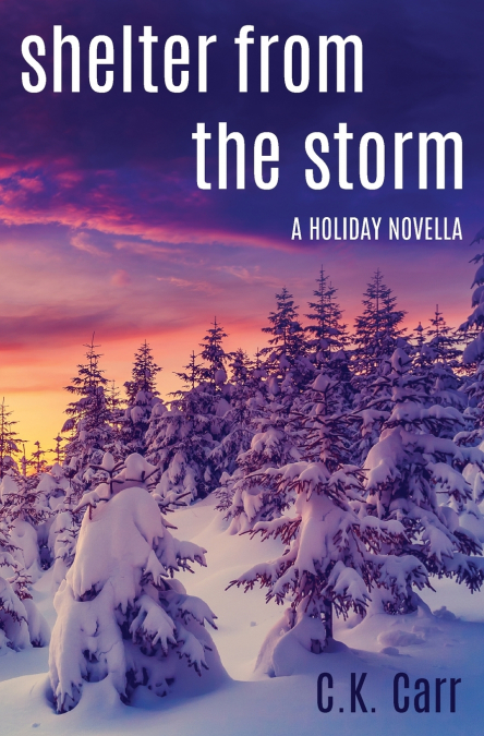 Shelter From The Storm