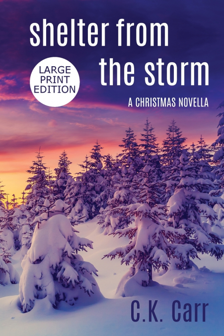 Shelter From The Storm
