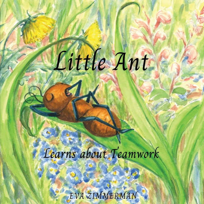 Little Ant