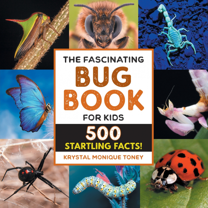 The Fascinating Bug Book for Kids