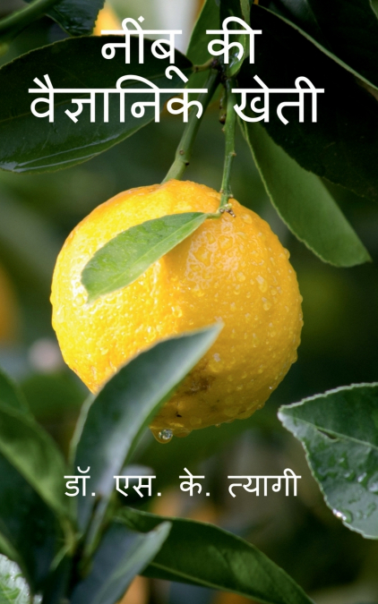 Scientific cultivation of Acid Lime / नींबू की वैज्ञानिक खेती