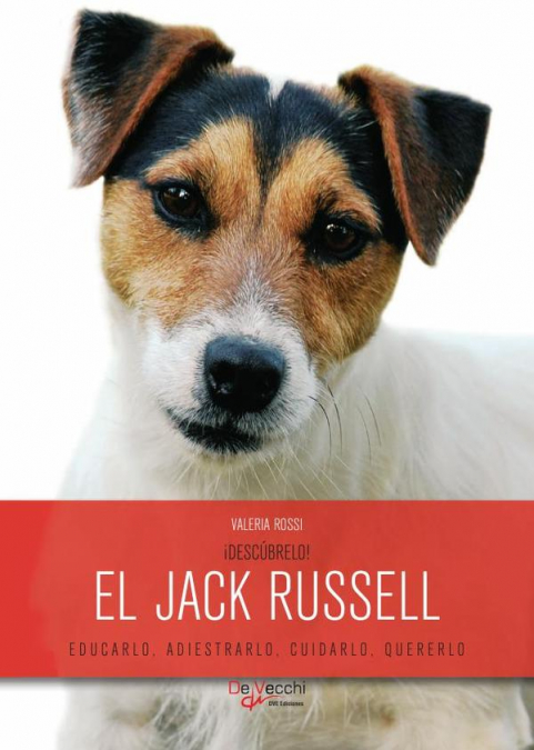 ¡Descúbrelo! El Jack Russell