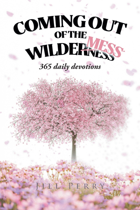 Coming Out of the WilderMess