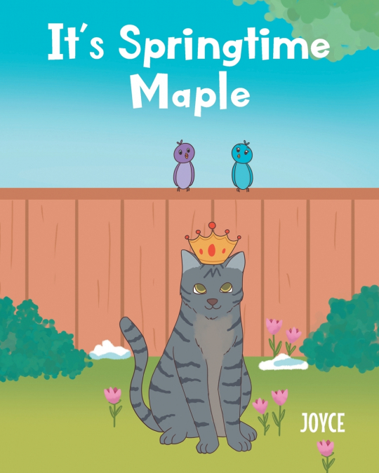 It’s Springtime Maple