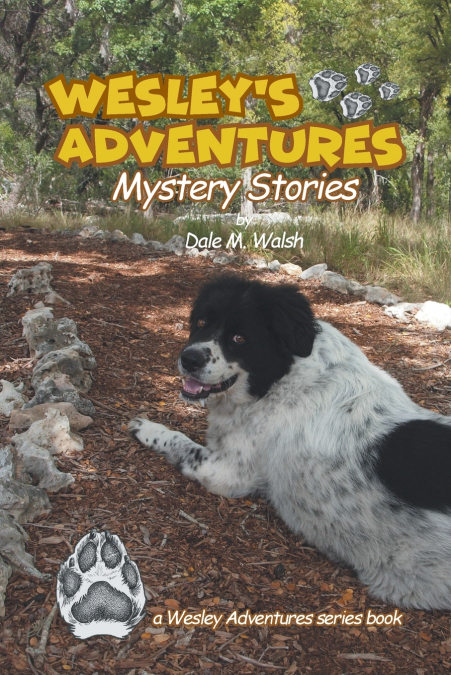 Wesley’s Adventures