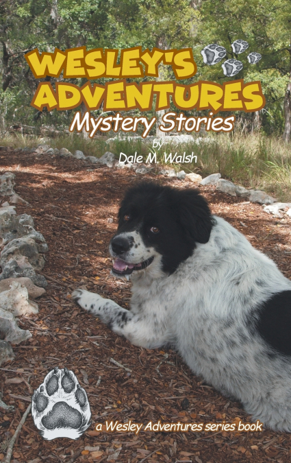 Wesley’s Adventures