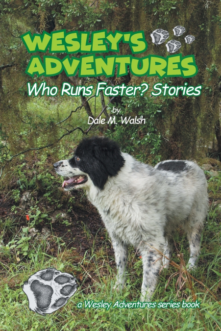 Wesley’s Adventures