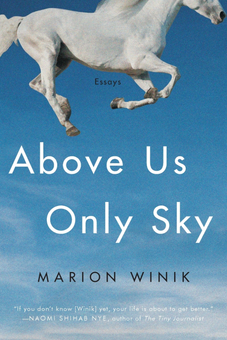 Above Us Only Sky
