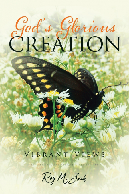 God’s Glorious Creation