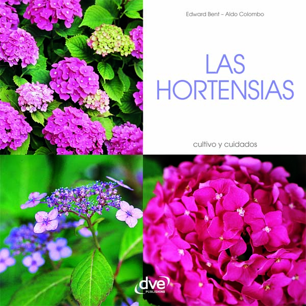 Las Hortensias