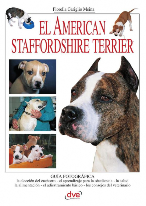 El american staffordshire terrier