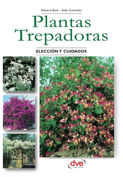 Las plantas trepadoras