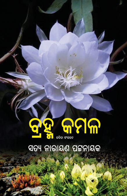 Brahma Kamal