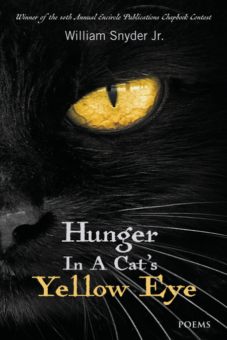 Hunger In A Cat’s Yellow Eye