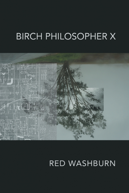 Birch Philosopher X