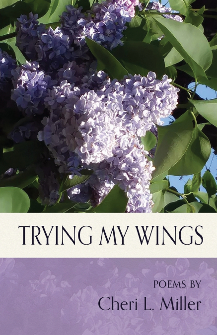 Trying my Wings