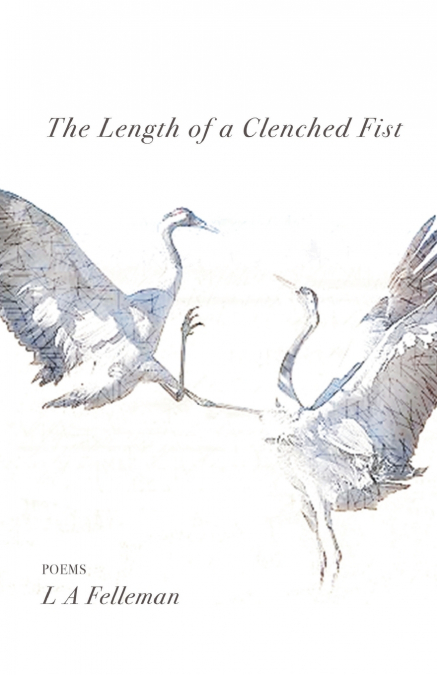 The Length of a Clenched Fist