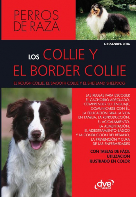 Los collie y el border collie