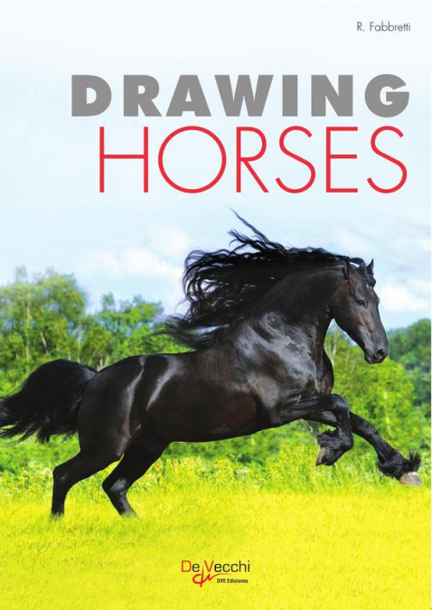 Drawing Horses