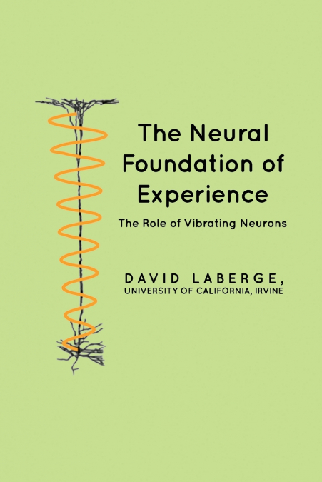 The Neural Foundation of Experience