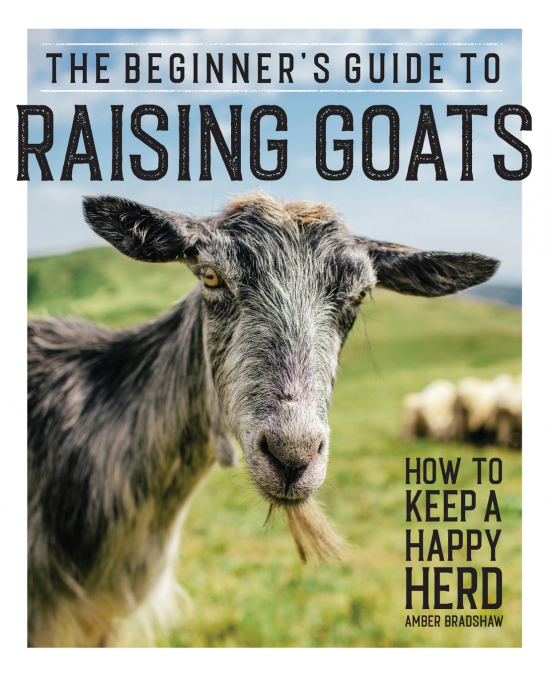The Beginner’s Guide to Raising Goats