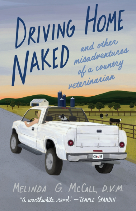 Driving Home Naked