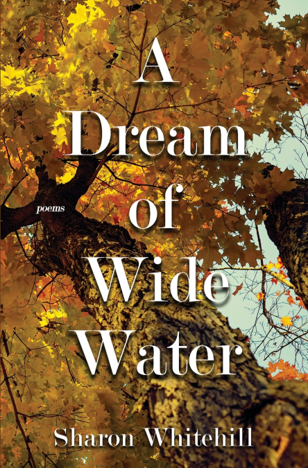A Dream of Wide Water