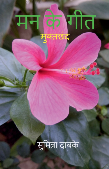 Mann Ke Geet / मन के गीत