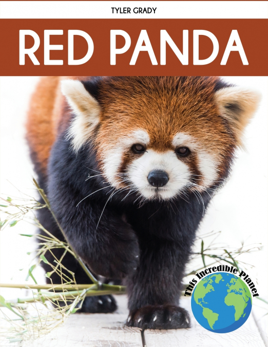 Red Panda
