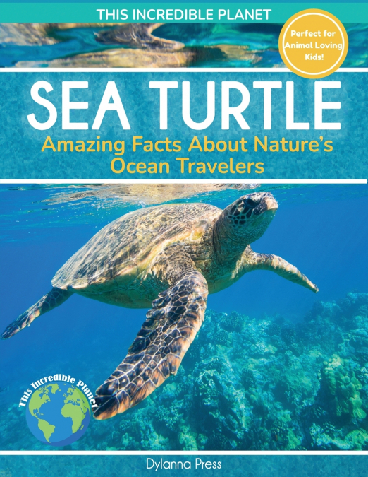 Sea Turtle