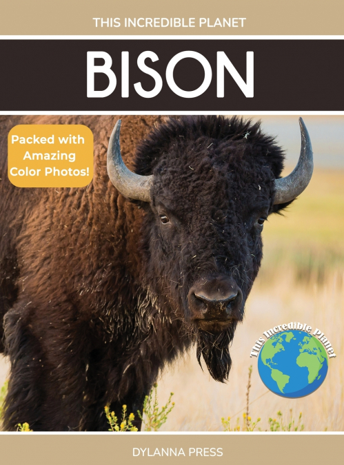 Bison