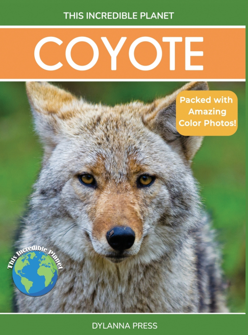 Coyote