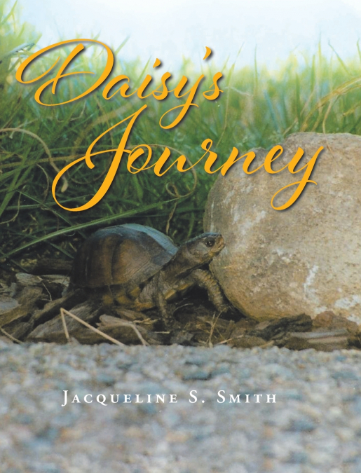 Daisy’s Journey