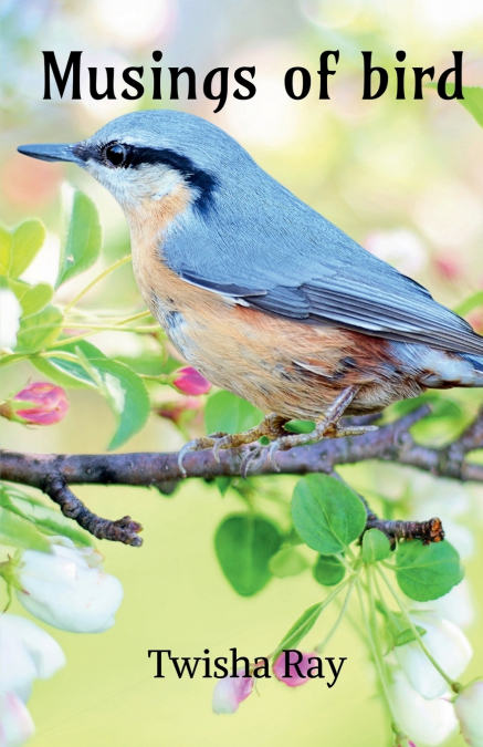 Musings of Bird