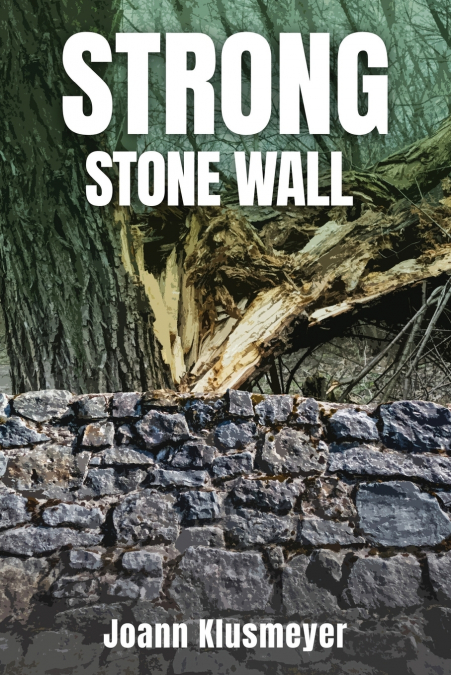 Strong Stone Walls