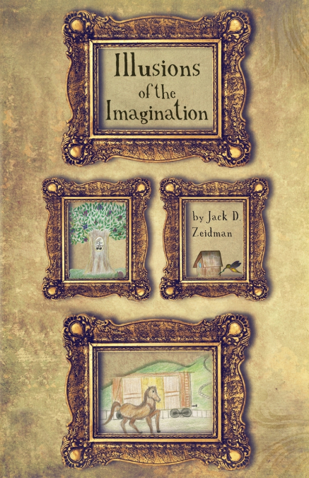 Illusions of the Imagination