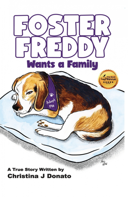Foster Freddy Wants a Family