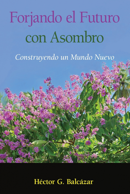 Forjando el Futuro con Asombro