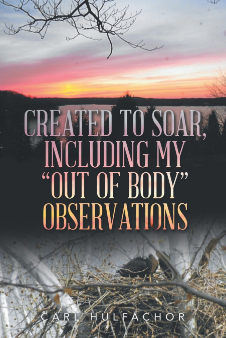 Created to Soar, Including My 'Out of Body' Observations